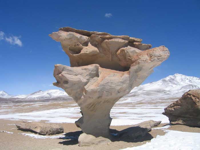 arbol de piedra