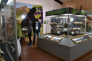 museo-nacional-de-historia-natural-1