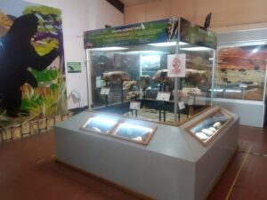 museo-nacional-de-historia-natural-2